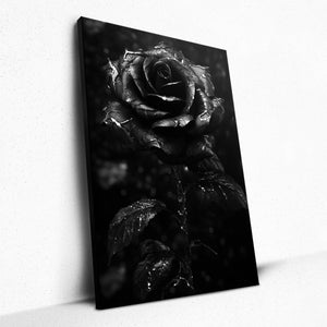 Obsidian Blooms (Canvas)
